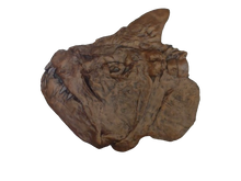 Load image into Gallery viewer, Xiphactinus fossil fish cast replica #1 panel