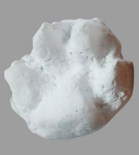 Load image into Gallery viewer, Wolf footprint cast replica