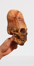 画像をギャラリービューアに読み込む, Cinnamon Skull Cast Replica Peruvian Elongated Skull (not an Alien)