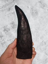 Load image into Gallery viewer, T.rex tooth #8. Large 8" Tyrannosaurus Rex T.rex Fossil tooth for sale T-rex Trex