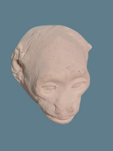 Load image into Gallery viewer, Baboon (Papio ursinus), female death cast replica Life cast