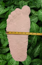 Load image into Gallery viewer, 1963 Graves Bigfoot cast replica track