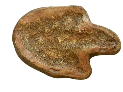 Eubrontes Dinosaur footprint track cast replica
