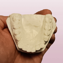 Cargar imagen en el visor de la galería, Homo ergaster Nariokotome Maxilla Dental replica Full-size cast