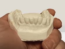 Cargar imagen en el visor de la galería, Homo ergaster Nariokotome Maxilla Dental replica Full-size cast