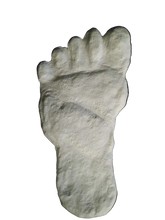 Cargar imagen en el visor de la galería, 19xx Alma Footprint track cast from Russia Cryptozoology Almasty Almas Footprint BIGFOOT