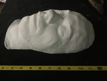 Load image into Gallery viewer, (Resin) John Dillinger Death Mask Cast Life Cast LifeMask Death mask life cast (Resin)