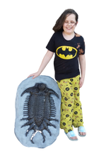 Laden Sie das Bild in den Galerie-Viewer, Terataspis grandis (Giant Trilobite) Cast Replica