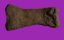 Load image into Gallery viewer, Triceratops: Giant Triceratops toe (metatarsal)