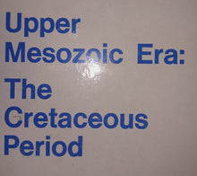 画像をギャラリービューアに読み込む, Upper Mesozoic Era:

The Cretaceous Period Fossil Cast Replicas
