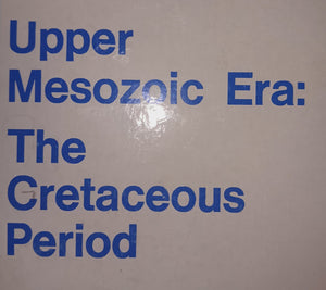 Upper Mesozoic Era:

The Cretaceous Period Fossil Cast Replicas