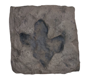 Iguanodon Dinosaur footprint track cast replica #1 TMF