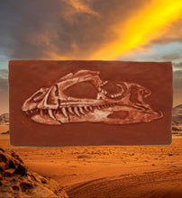 Load image into Gallery viewer, Coelophysis skull cast replica #2