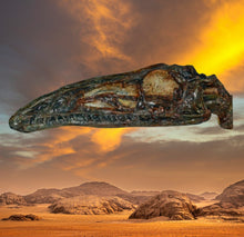 Load image into Gallery viewer, Coelophysis skull cast replica #1