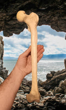 Cargar imagen en el visor de la galería, Neanderthal Femur Leg Bone Cast Replica Hominid cast replicas