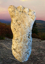 Cargar imagen en el visor de la galería, 2019 North Carolina Bigfoot Print Cast Replica Limited Edition Footprint for sale Bigfoot plaster cast