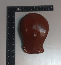 画像をギャラリービューアに読み込む, Homo erectus: Java Man skull cap cast replica Trinil