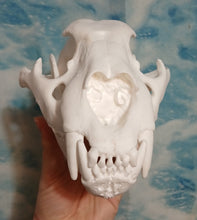 Cargar imagen en el visor de la galería, Liliger Skull Cast Replica Reproduction