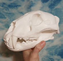 Cargar imagen en el visor de la galería, Liliger Skull Cast Replica Reproduction