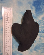 Charger l'image dans la galerie, Theropod Deep Dinosaur Footprint Track Cast Replica (Plaster)
