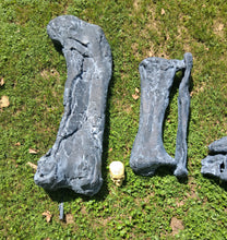 Load image into Gallery viewer, Camarasaurus leg cast replica