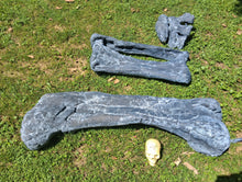 Load image into Gallery viewer, Camarasaurus leg cast replica