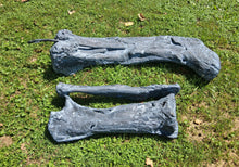 Load image into Gallery viewer, Camarasaurus leg cast replica