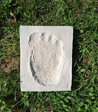 画像をギャラリービューアに読み込む, 1957 Tom Slick Bigfoot Cast track replica