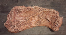 Laden Sie das Bild in den Galerie-Viewer, Oreodont Merycoiodon gracilis Skeleton Cast Replica