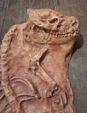 Laden Sie das Bild in den Galerie-Viewer, Oreodont Merycoiodon gracilis Skeleton Cast Replica