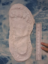 Laden Sie das Bild in den Galerie-Viewer, 1967 Bigfoot print Patty #3 Midtarsal Break Found by Bob Titmus 1967 Capturing Bigfoot Patterson Gimlin Footprint Cast