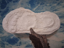 Laden Sie das Bild in den Galerie-Viewer, 1967 Bigfoot print Patty #3 Midtarsal Break Found by Bob Titmus 1967 Capturing Bigfoot Patterson Gimlin Footprint Cast