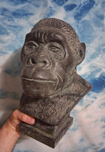 Laden Sie das Bild in den Galerie-Viewer, Australopithecus Bust replica cast