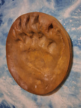 Cargar imagen en el visor de la galería, Grizzly Track #3B (Light Brown) MC Paw Print Grizzly Track B W Shull 10.75" Diam Rare Plaster Bear footprint track cast replica