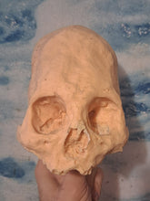 Cargar imagen en el visor de la galería, Camacho #18 Female Skull Cast Replica Peruvian Elongated Skull (not an Alien)
