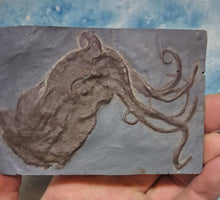 Load image into Gallery viewer, Octopus: Proteroctopus ribeti, fossil octopus cast replica 