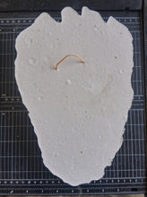 Load image into Gallery viewer, Bear: Adult Grizzly Bear footprint cast replica Alaska #1