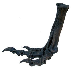 Tinker Juvenile Tyrannosaurus Rex T.rex foot cast replica T-rex