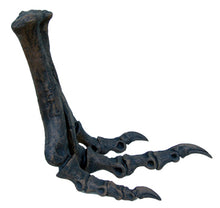 Load image into Gallery viewer, Tinker Juvenile Tyrannosaurus Rex T.rex foot cast replica T-rex