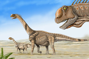 Camarasaurus Tooth Fossil Cast Replica Dinosaur Tooth #1
