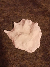 Load image into Gallery viewer, 2007 Chupacabra Plaster Footprint track cast replica