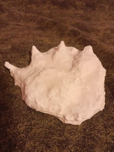 Load image into Gallery viewer, 2007 Chupacabra Plaster Footprint track cast replica