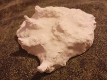 Load image into Gallery viewer, 2007 Chupacabra Plaster Footprint track cast replica