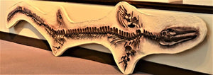 Clidastes Mosasaur skull cast replica marine reptile