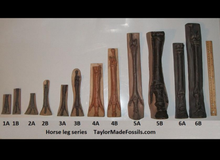 Load image into Gallery viewer, Horse legs and hooves cast replicas (Teaching quality) Unpainted