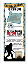 Load image into Gallery viewer, Bigfoot Novelty Bigfoot Sasquatch Hair Sample - Tracking Hunter Hunting -