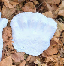 Load image into Gallery viewer, 1984 Paul Freeman's "Wrinkle Foot" cast  "C" half track Bigfoot Sasquatch footprint track cast replicas