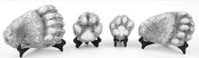 Charger l&#39;image dans la galerie, Bear: Footprint Adult Black Bear footprint cast replica