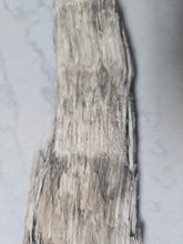 Charger l'image dans la galerie, Fossil Woolly Rhino horn Authentic Coelodonta antiquitatis horn