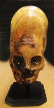 Load image into Gallery viewer, Cinnamon Skull Cast Replica Peruvian Elongated Skull (not an Alien)